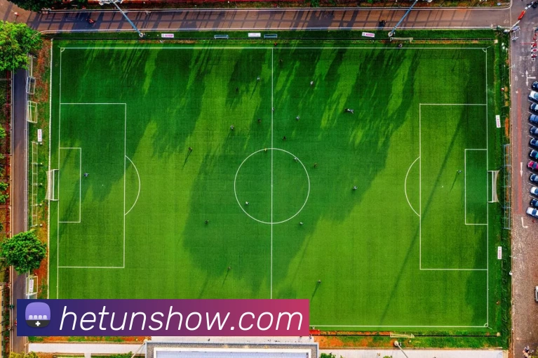 河豚直播官网平台生态图